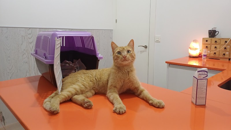 Clínica Veterinaria DurCan