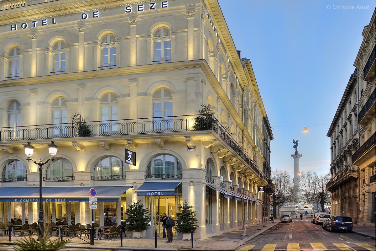 Hôtel de Sèze, dog-friendly hotel in Bordeaux