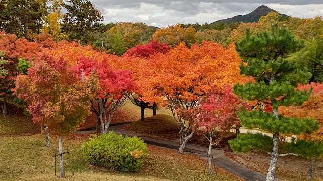 Arima Fuji Country Club - Photo 2