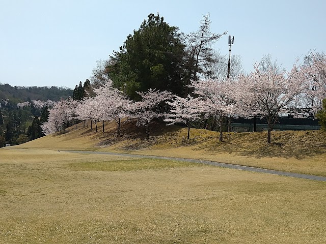 Arima Fuji Country Club - Photo 7