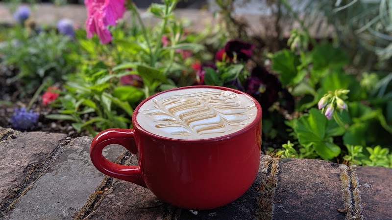 Red Cup Cafe photo 3