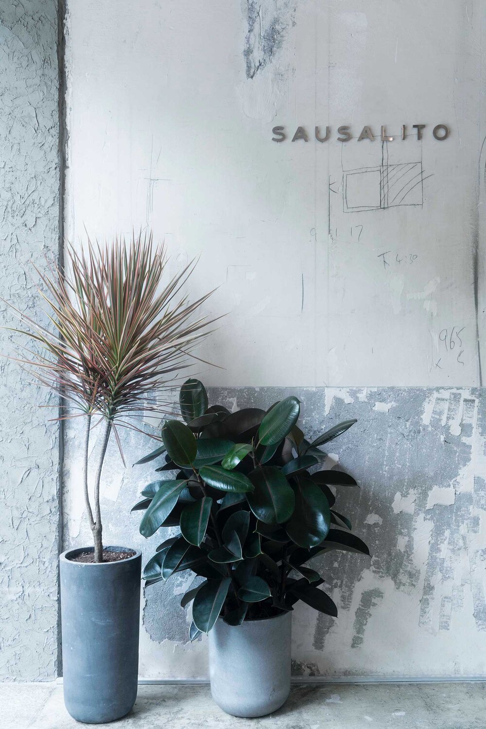 Café Sausalito photo 2