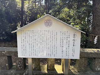 Kunozan Toshogu Shrine photo