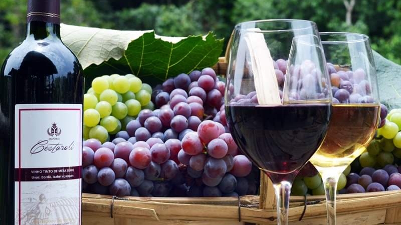 Vinicola Cestaroli