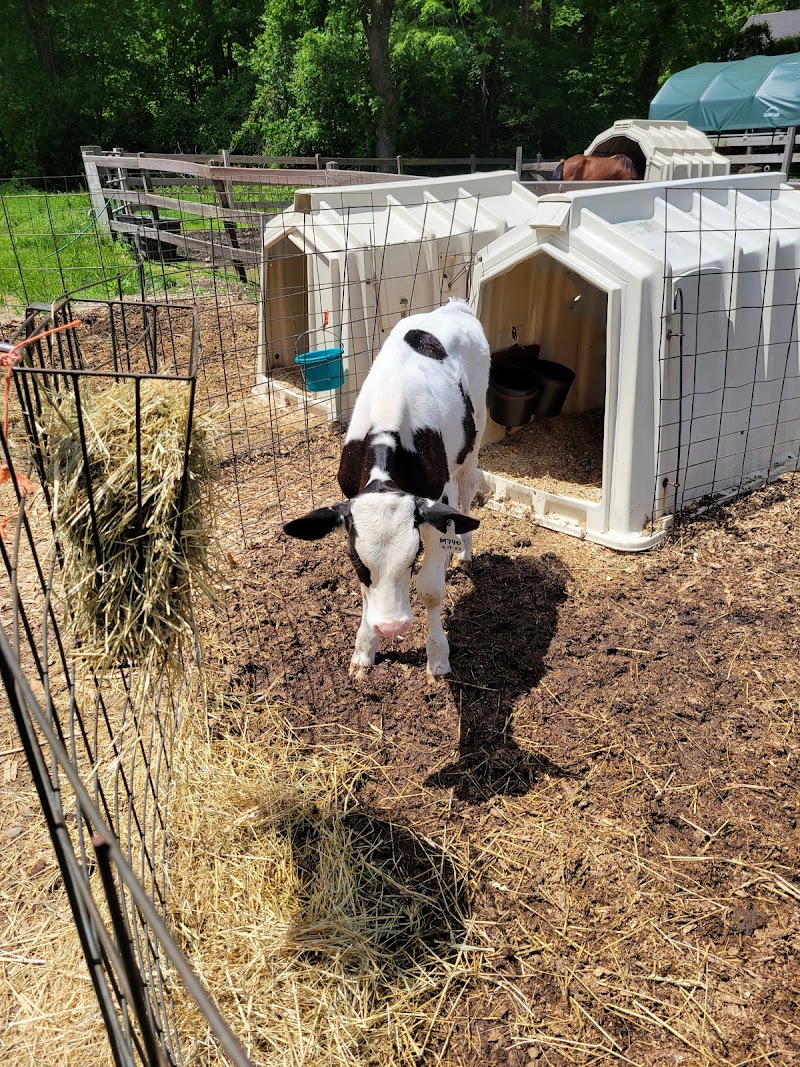 Whittier Farms - Photo 2
