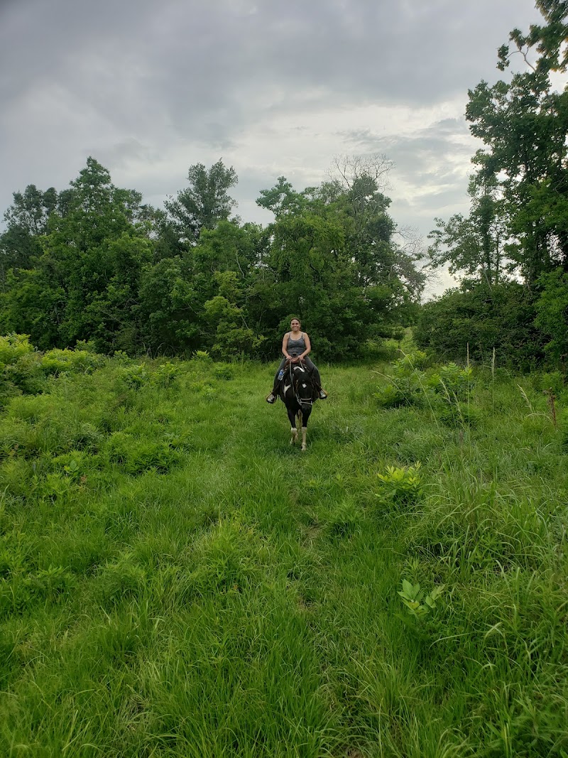 New Branch Ranch - Photo 4