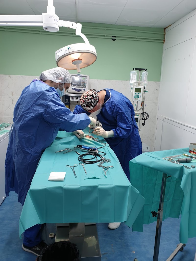 Clinica Veterinaria Dog Moixet 24h Lunes a Sábados Concertado