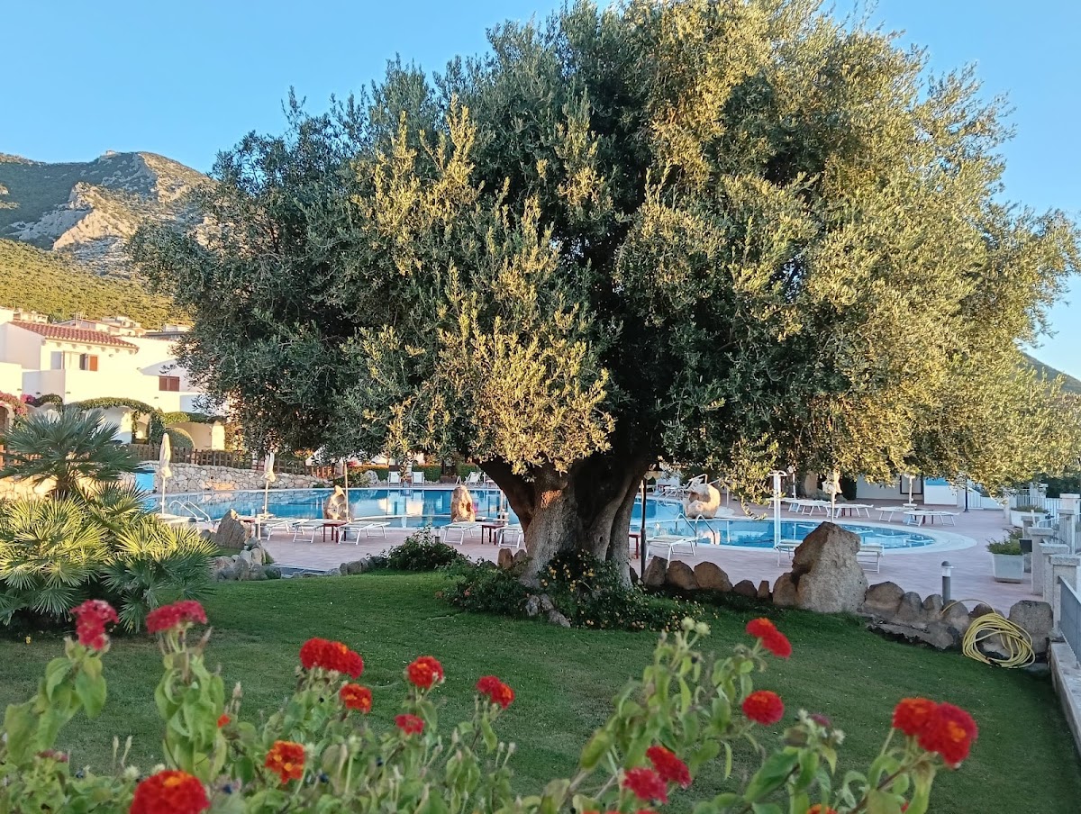 Hotel Nuraghe Arvu 3