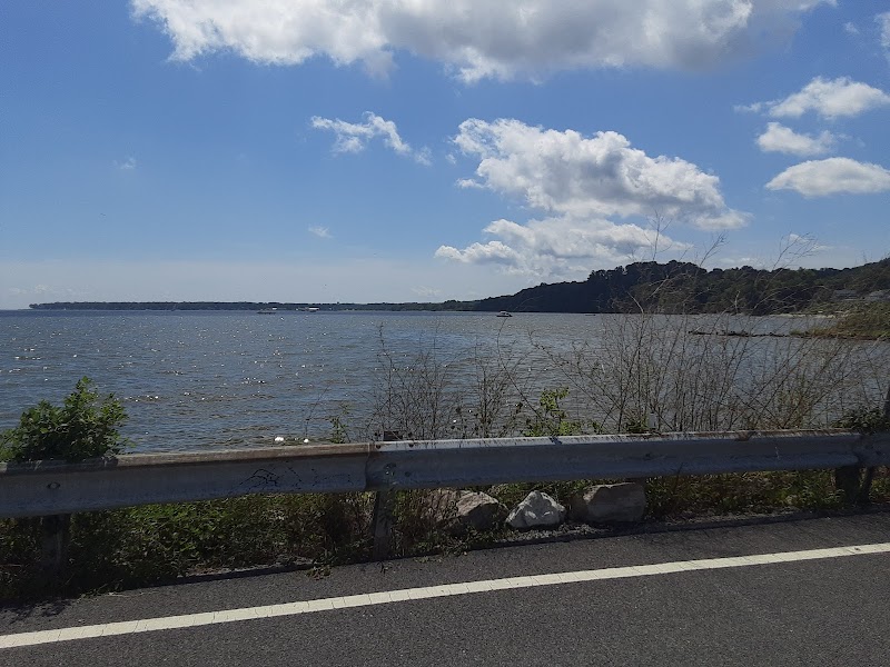 The Coffee Table photo 4