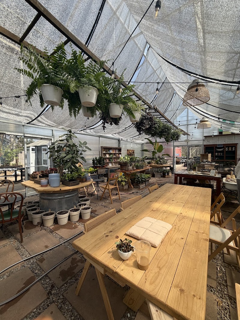 Maypop Coffee & Garden Shop photo 2