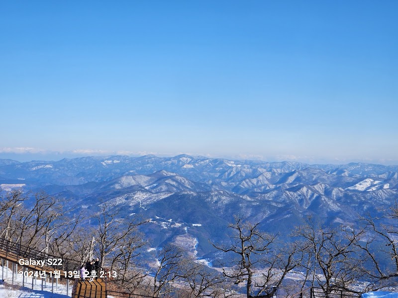 가리왕산케이블카 정선군 애견여행지