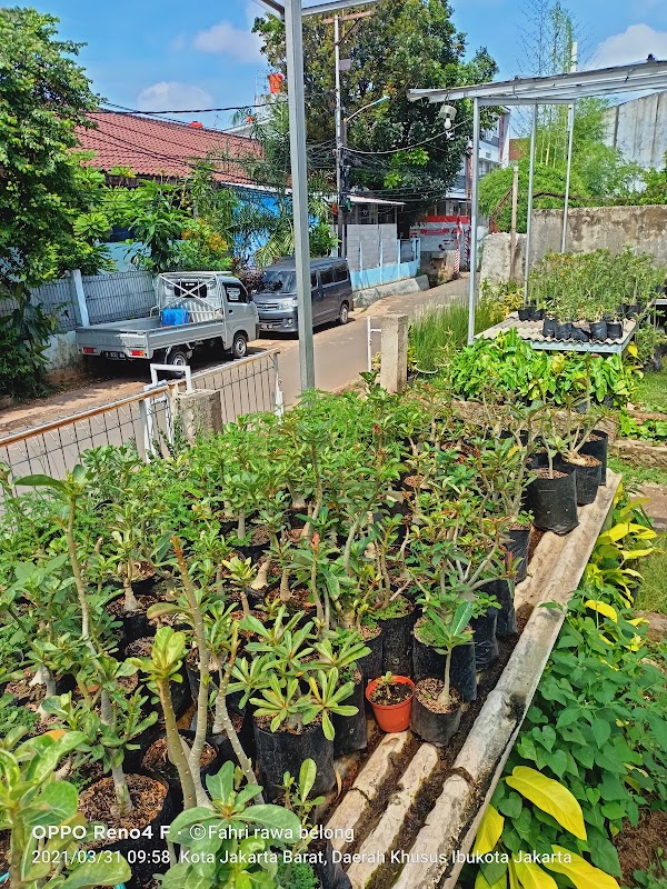Kost Griya Bintang