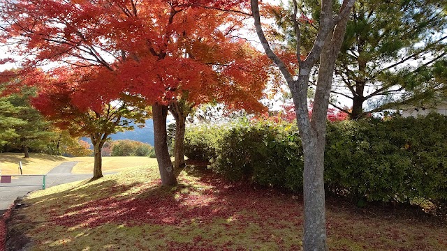 Miyagi Zao Country Club Royal Course - Photo 9