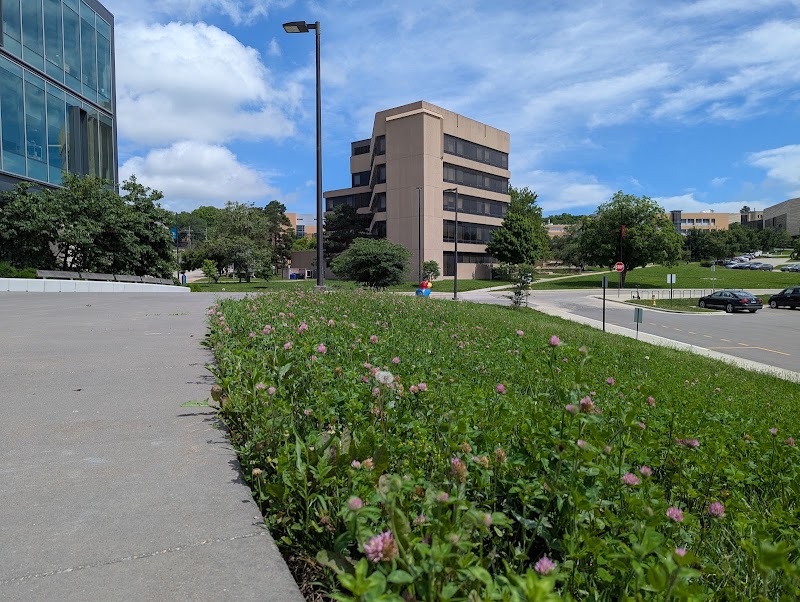 Burge Union photo 4