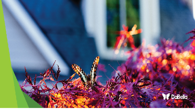 DaBella photo 1