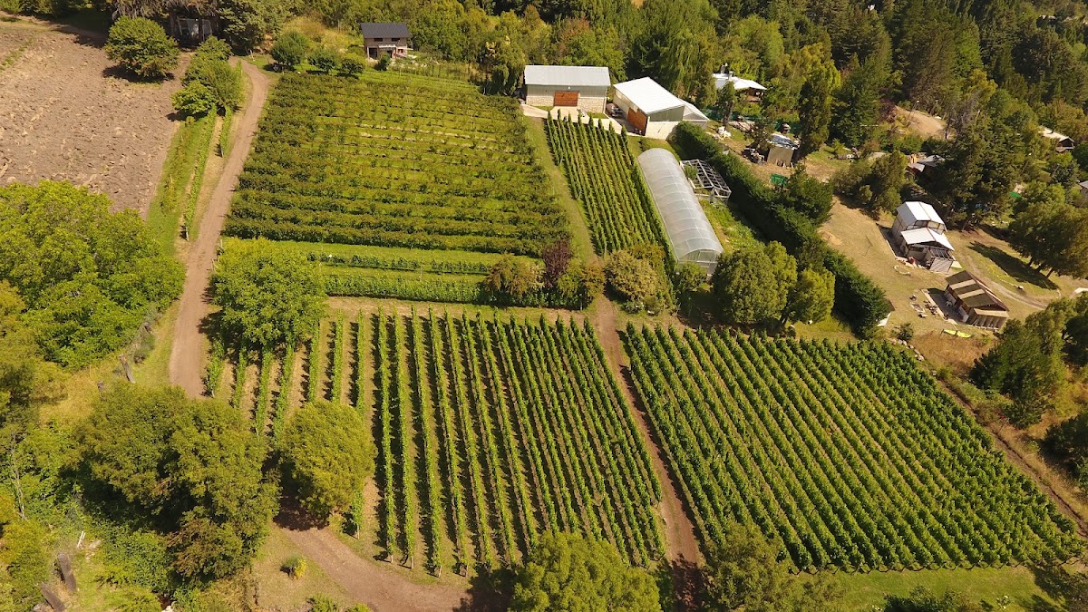 Bodega Famila DE BERNARDI