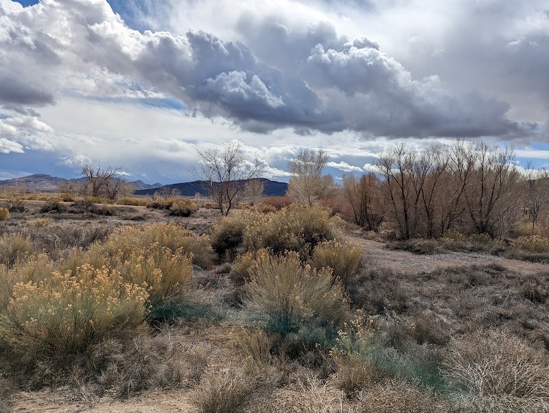 Pahranagat National Wildlife Refuge Headquarters - Photo 3