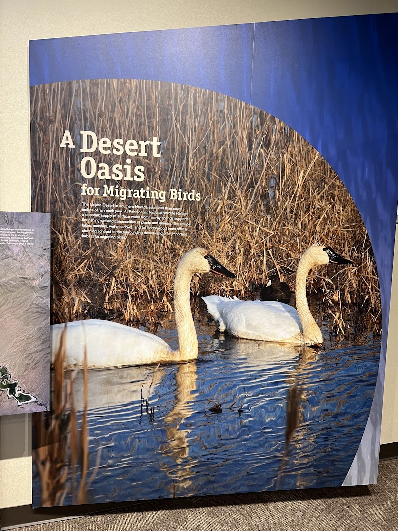 Pahranagat National Wildlife Refuge Headquarters - Photo 6