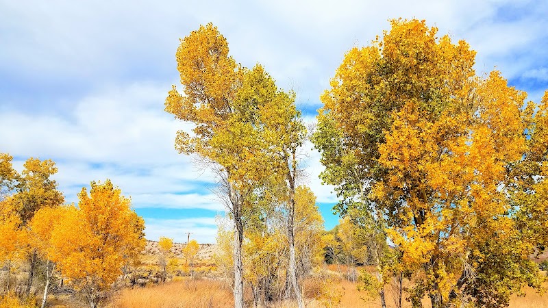 Pahranagat National Wildlife Refuge Headquarters - Photo 4