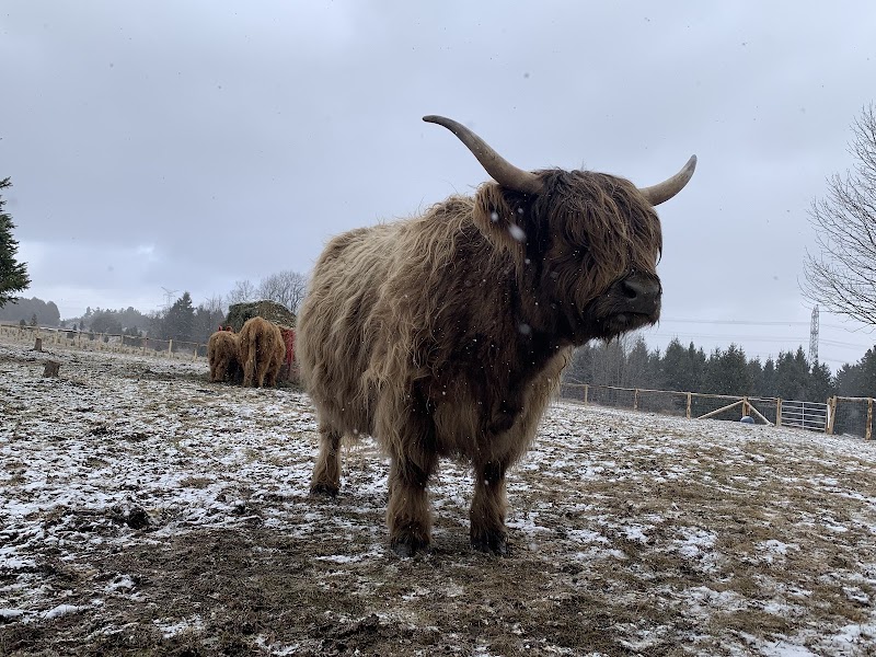 Erin Hill Acres photo 2