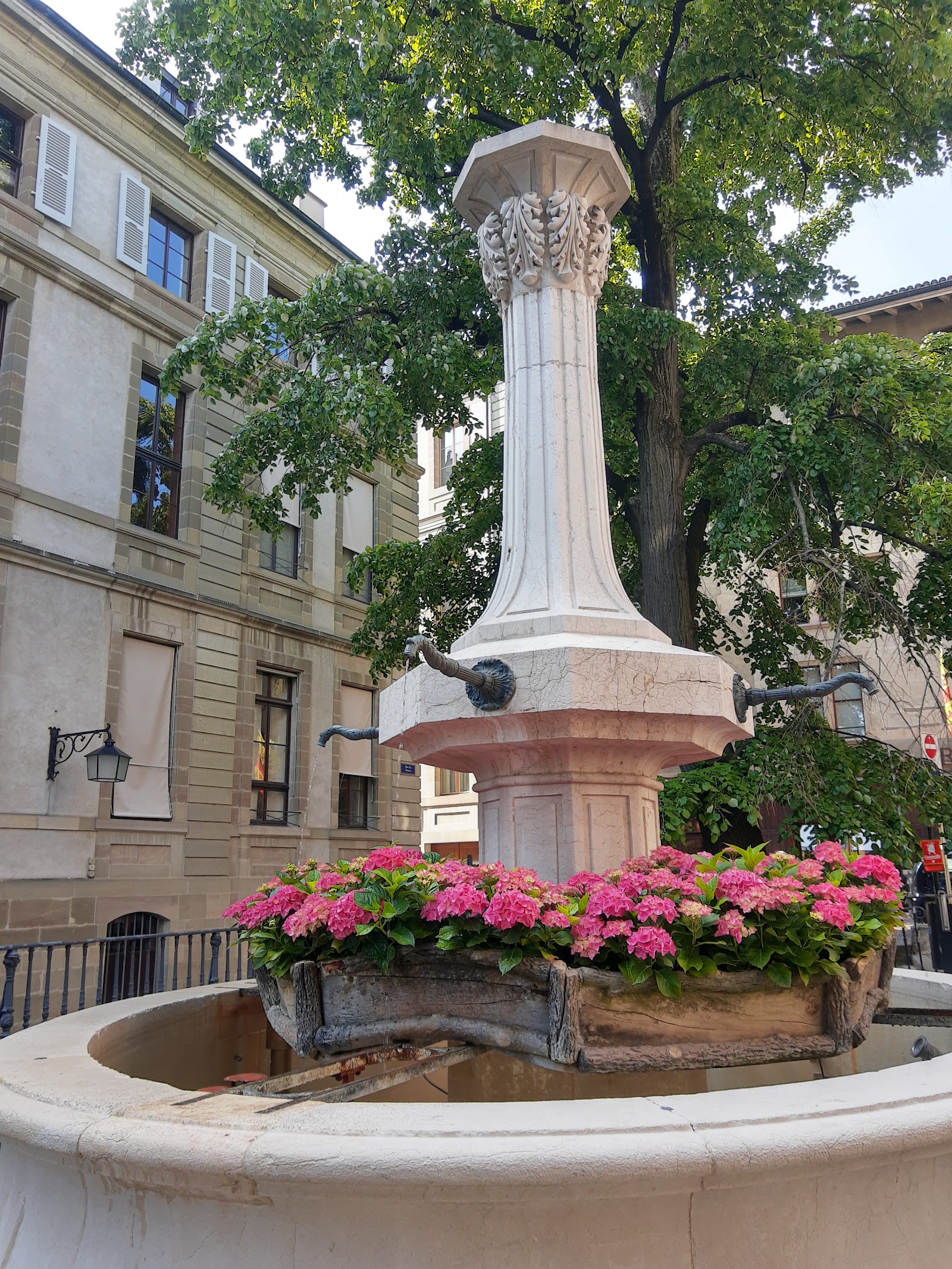 Best Dog-Friendly Hotels in Geneva, Switzerland