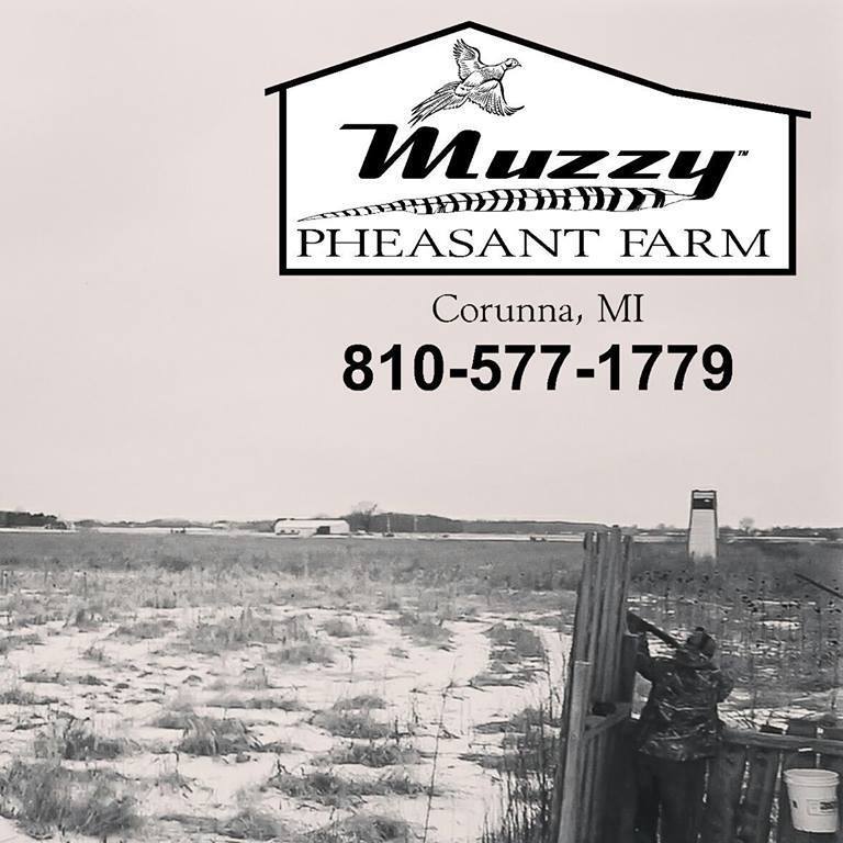 Muzzy Pheasant Farm