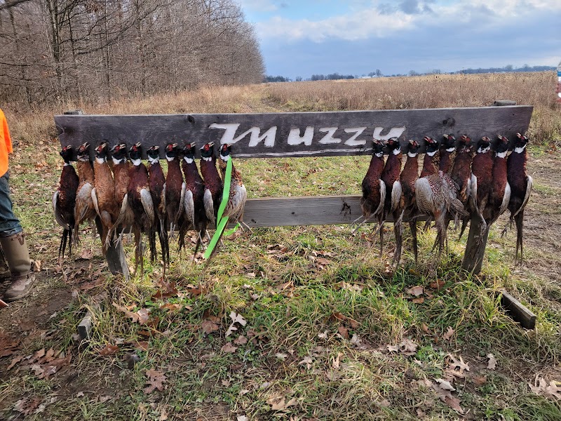 Muzzy Pheasant Farm - Photo 2