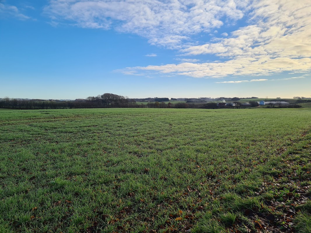 Osho Risk Meditation Center and Retreat