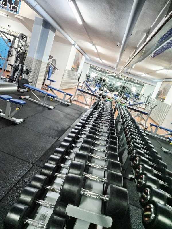 Iron Gym&Fitness Snc