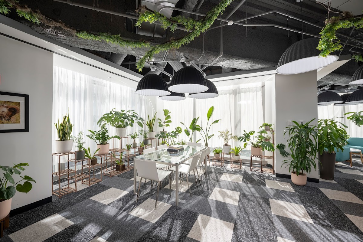 Impact House: Google Places image 5