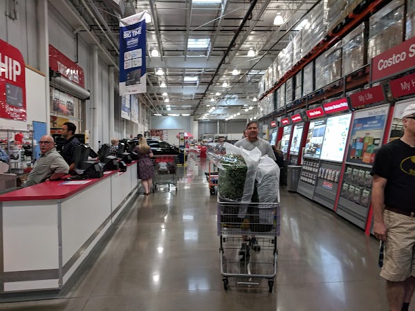 Photo by Big Fat Art Cat