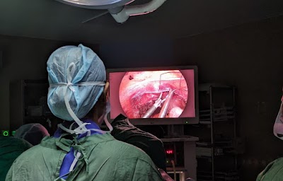 Dr Balvin Kaur Ghai - Image 2