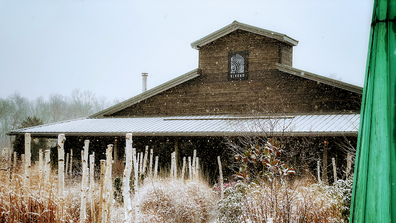 Black Shed photo 1