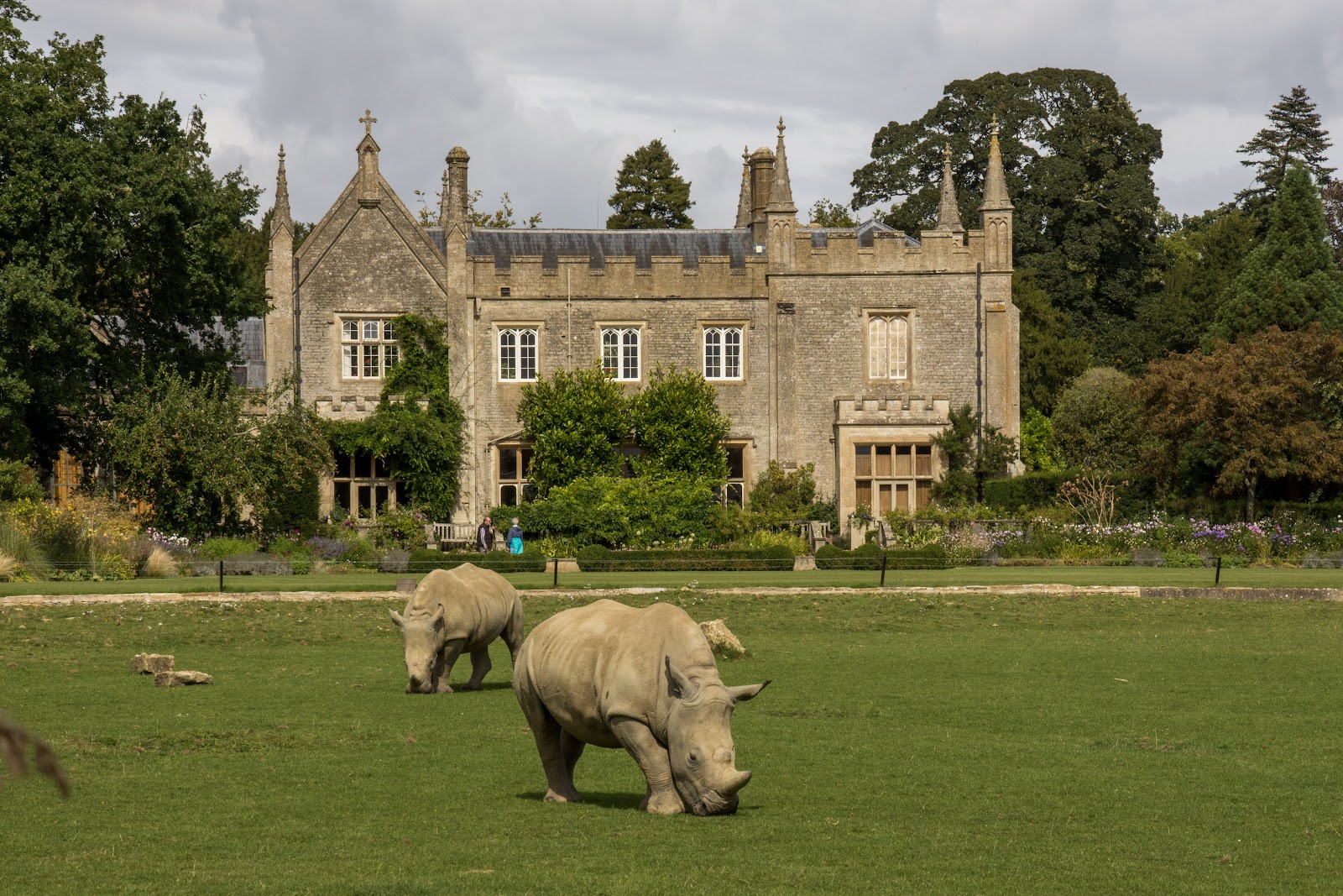 February Half-Term in the Cotswolds: 18 Activities That Actually Appeal to 10-14 Year Olds