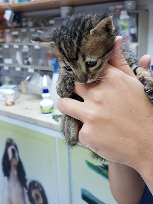 המרכז הוטרינרי לחיות מחמד