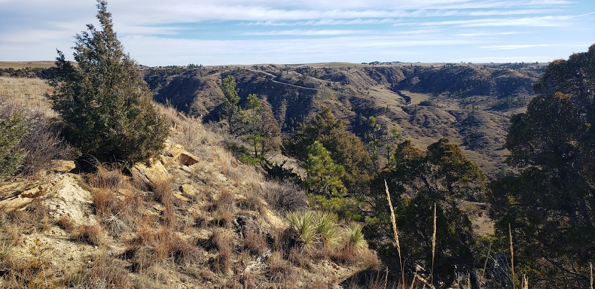 Nansel ​Ranch