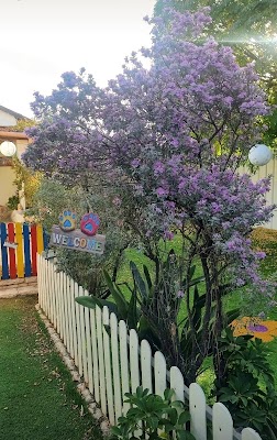 הפנסיון של מאצ'קה – פנסיון ביתי לכלבים בתל אביב