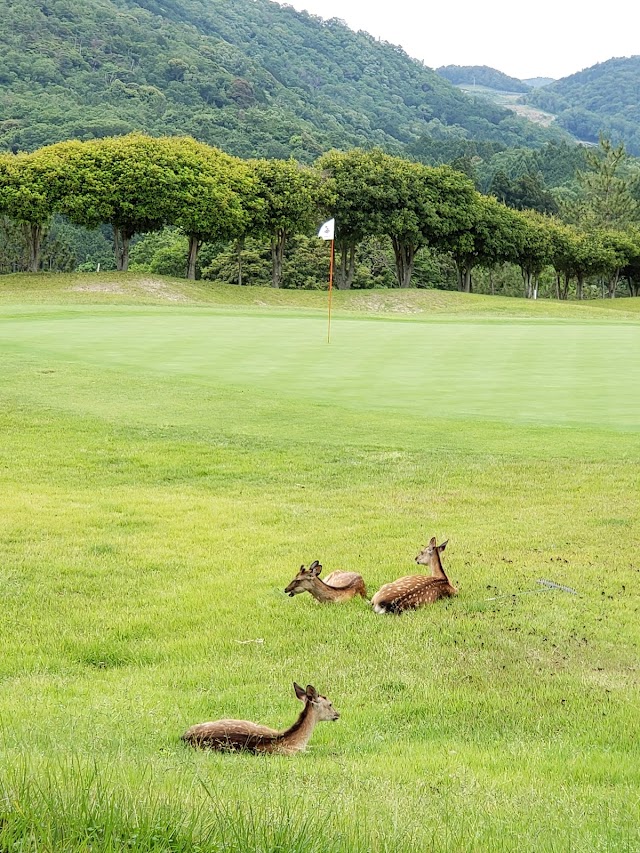 Coco Paris Resort Club Mie Hakusan Golf Course - Photo 9