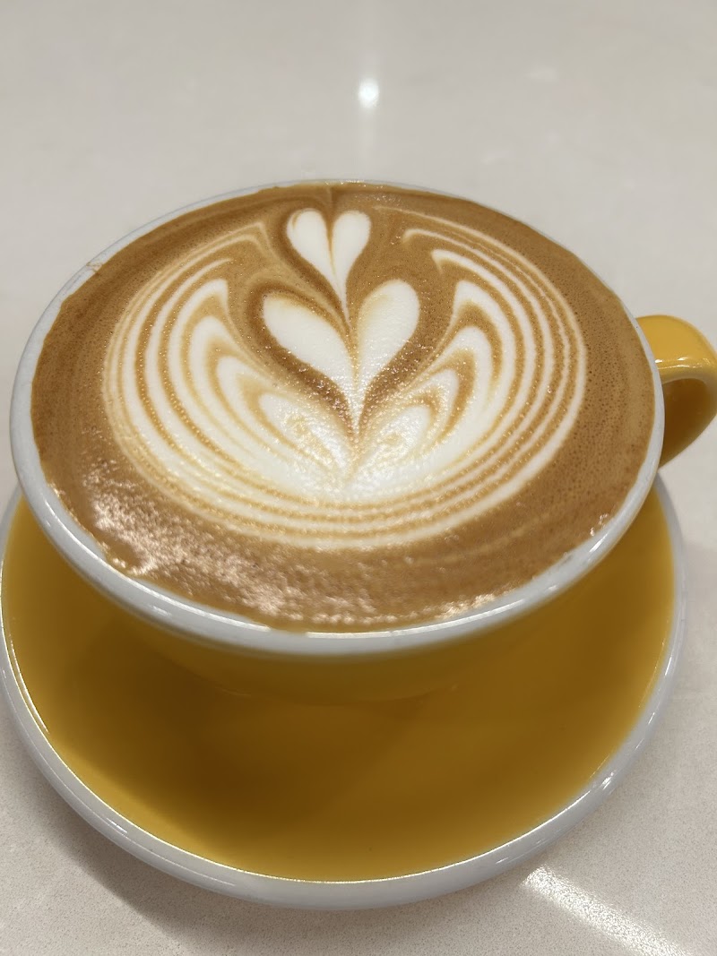 Solid State Coffee photo 3