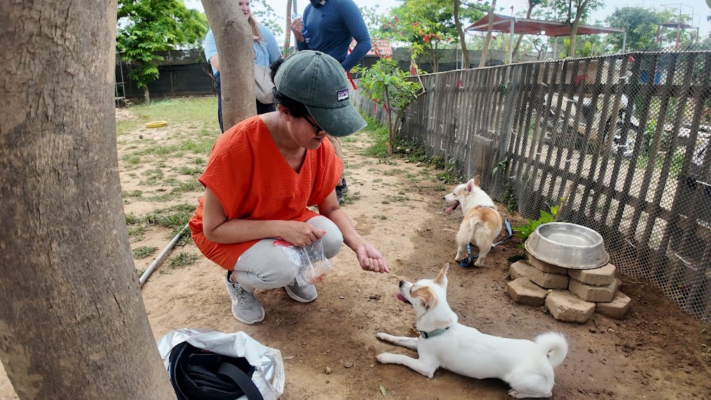 BarkPark Hanoi fotoğraf 1