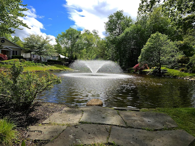 Greenhouse Café & Tavern photo 3