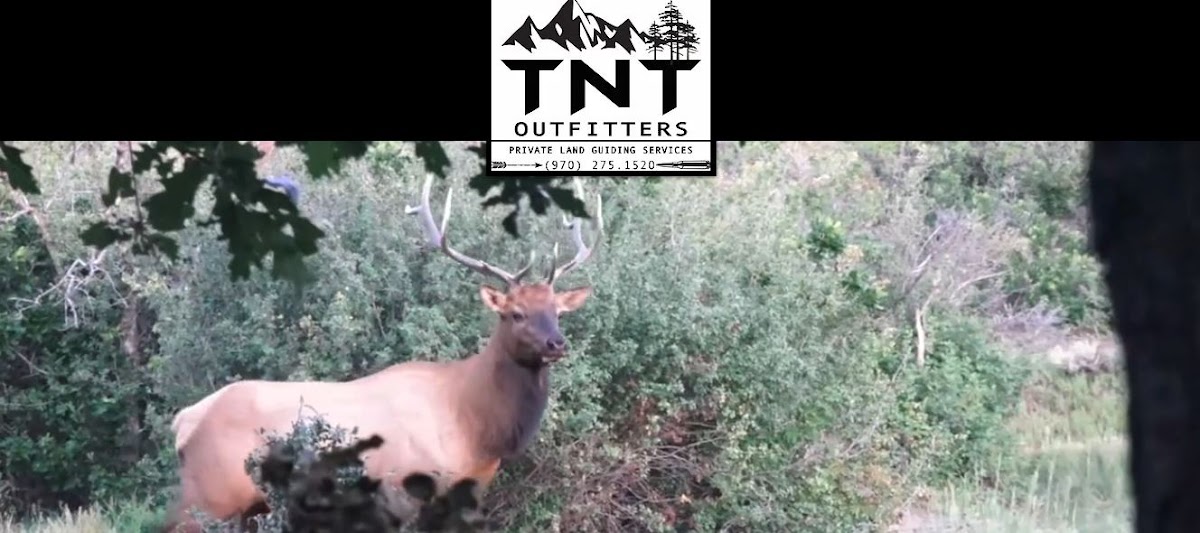 TNT Outfitters