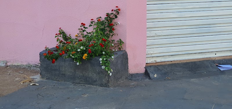 Mais Clean Odontologia e Estética Avançada -Unidade Setor Leste Universitário - foto 5