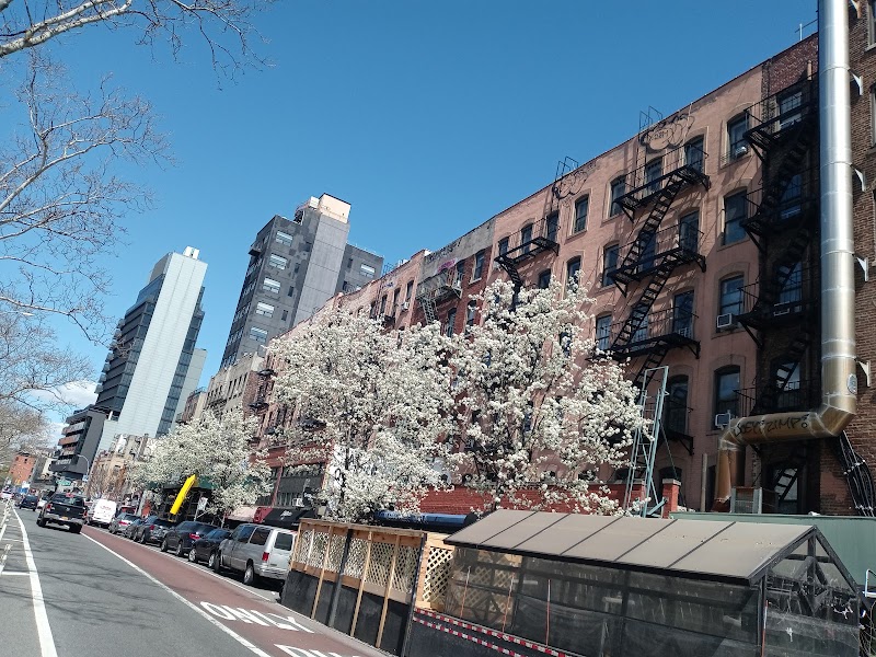 Lower East Side photo 5