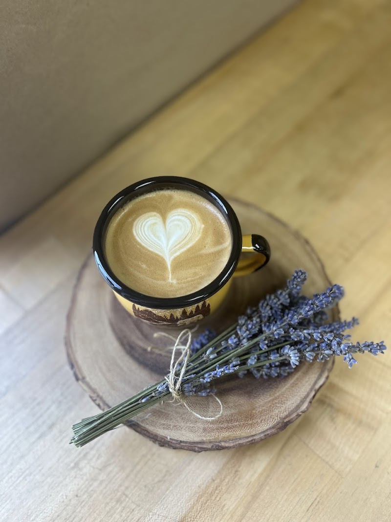 OZO Coffee | Longmont photo 2