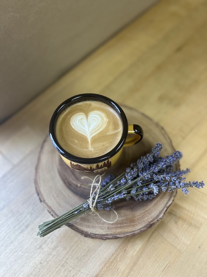 OZO Coffee | Longmont photo 2
