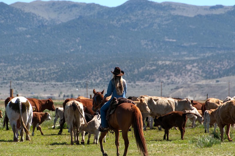Hunewill Ranch - Photo 3