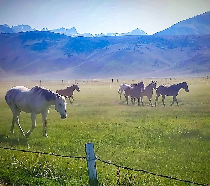 Hunewill Ranch - Photo 5