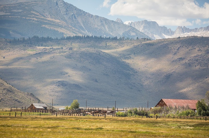 Hunewill Ranch - Photo 2