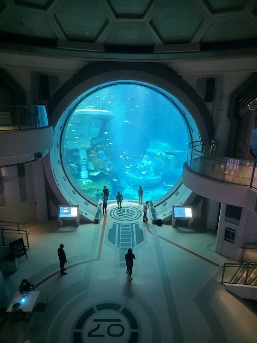 SeaWorld Abu Dhabi | سي وورلد جزيرة ياس، أبوظ fotoğraf 1